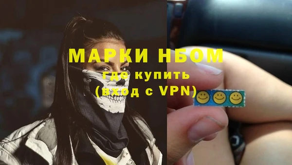 прущие грибы Протвино