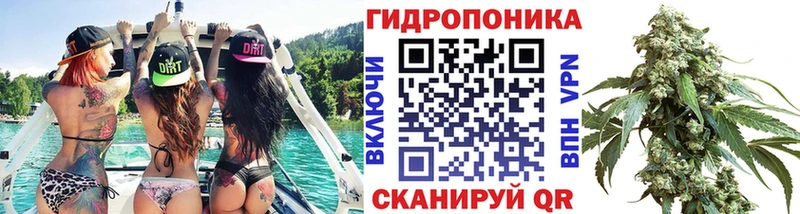 Канабис AK-47  KRAKEN маркетплейс  Пласт  где купить наркоту 